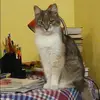 Отзыв от Эльвира Жарова
